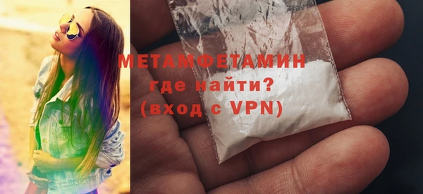 прущие грибы Елизово