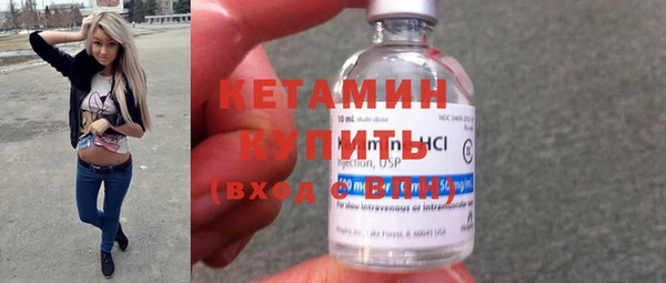 трава Ельня