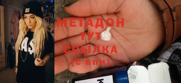 трава Ельня