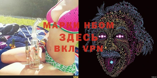 прущие грибы Елизово