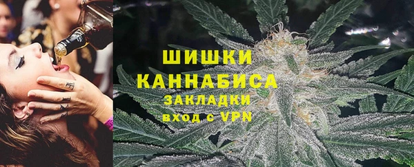прущие грибы Елизово