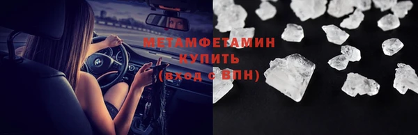 трава Ельня