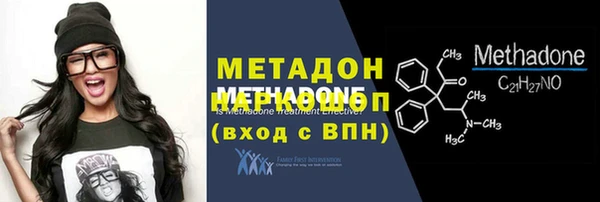 прущие грибы Елизово