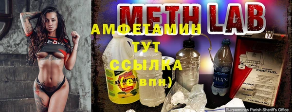 прущие грибы Елизово