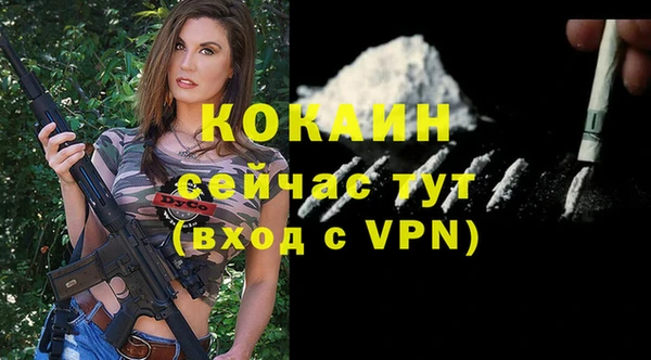 прущие грибы Елизово