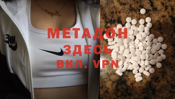 прущие грибы Елизово