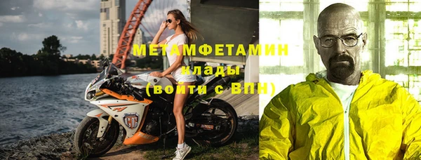 прущие грибы Елизово