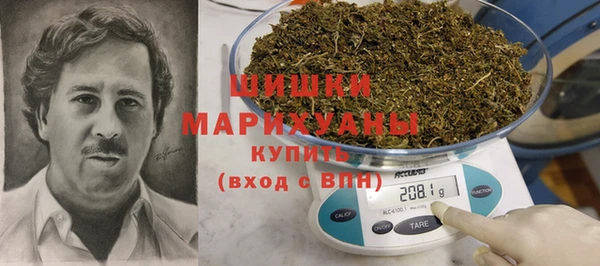 прущие грибы Елизово