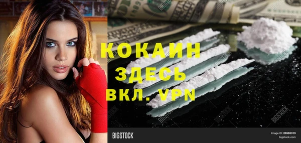 прущие грибы Елизово