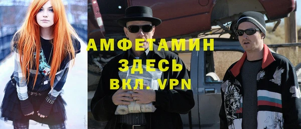 трава Ельня