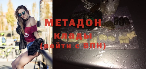 трава Ельня