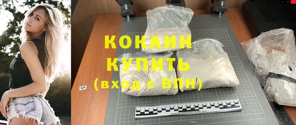 трава Ельня