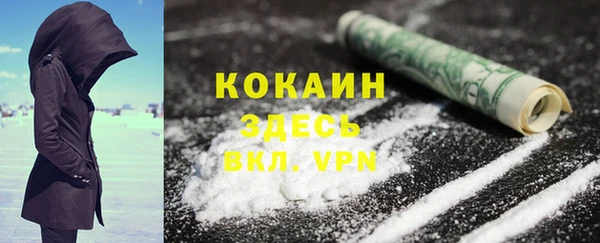 трава Ельня