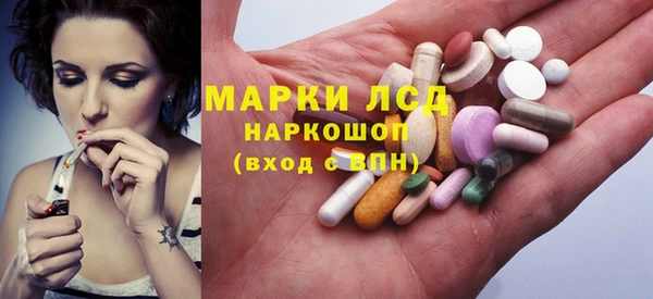 трава Ельня