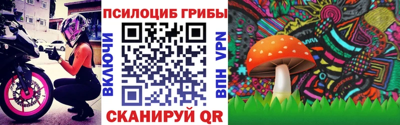 где купить наркоту  Янаул  Галлюциногенные грибы Magic Shrooms 