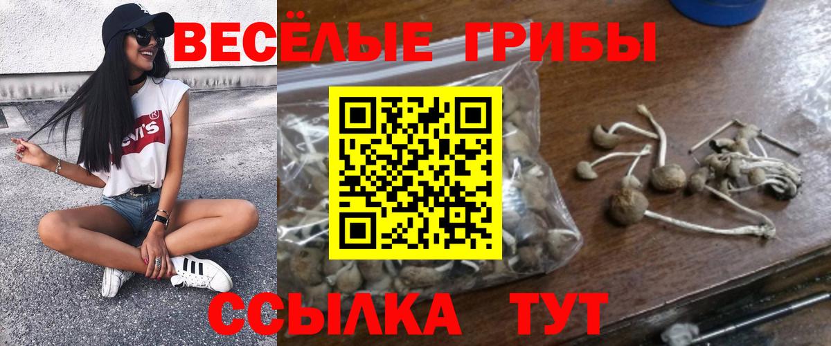 Псилоцибиновые грибы MAGIC MUSHROOMS Янаул