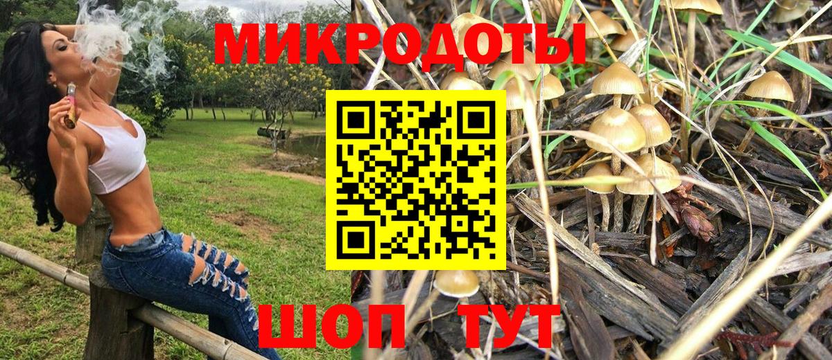 купить   Псилоцибиновые грибы Psilocybine cubensis  Вход с VPN  Янаул 